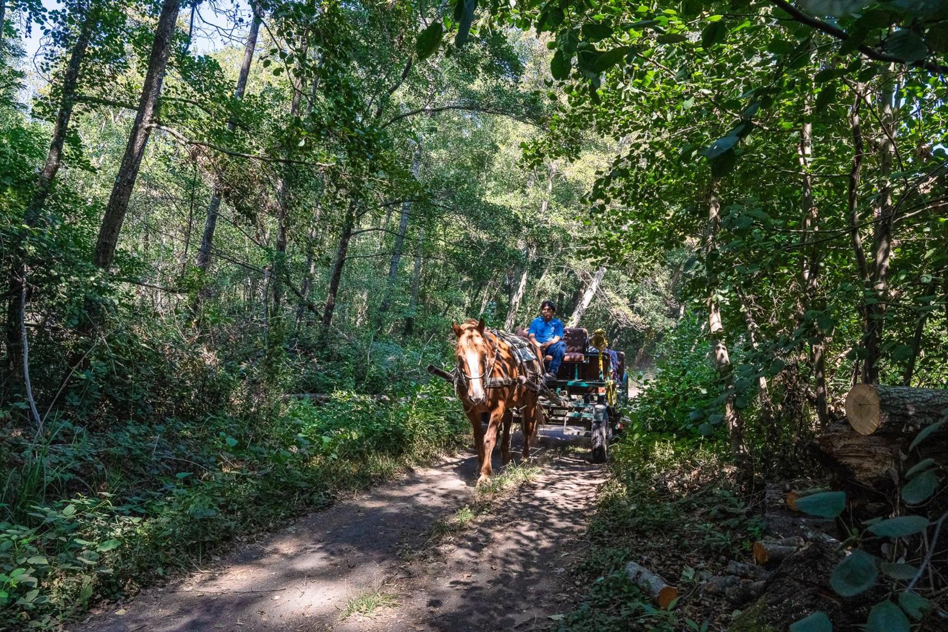 Hotel Salto Del Laja Los Ángeles Eksteriør billede